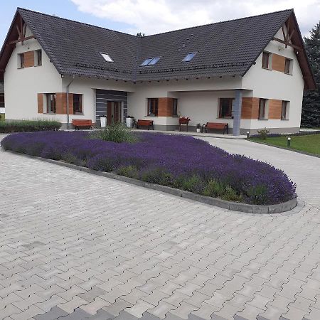 Agroturystyka Aura Kostrzyca Zewnętrze zdjęcie