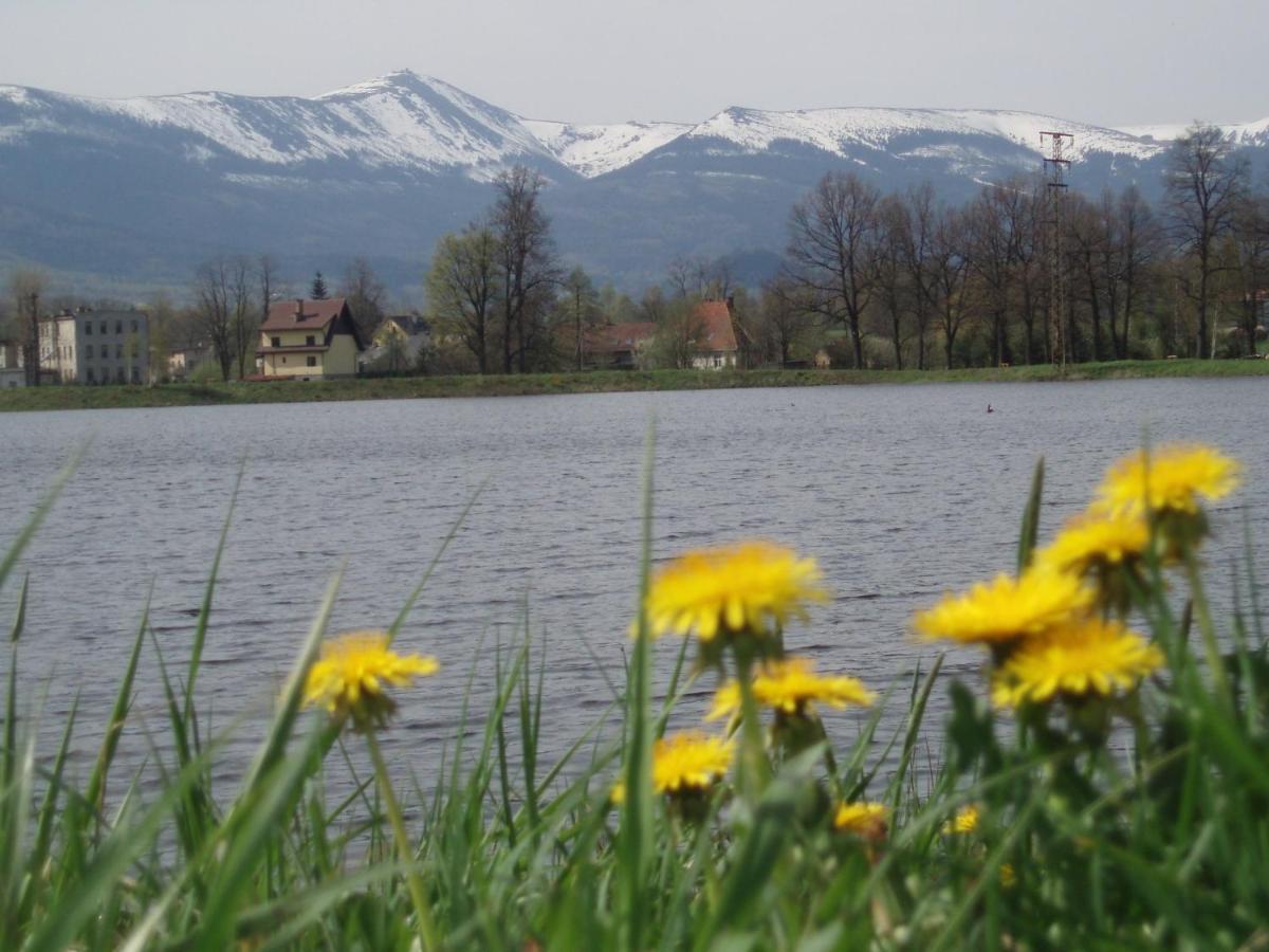 Agroturystyka Aura Kostrzyca Zewnętrze zdjęcie