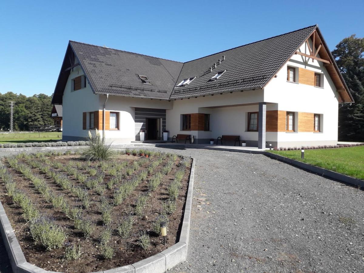 Agroturystyka Aura Kostrzyca Zewnętrze zdjęcie