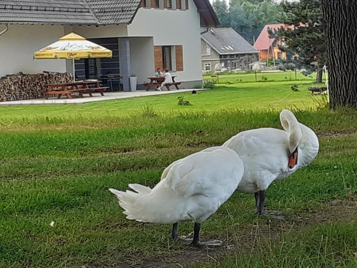 Agroturystyka Aura Kostrzyca Zewnętrze zdjęcie
