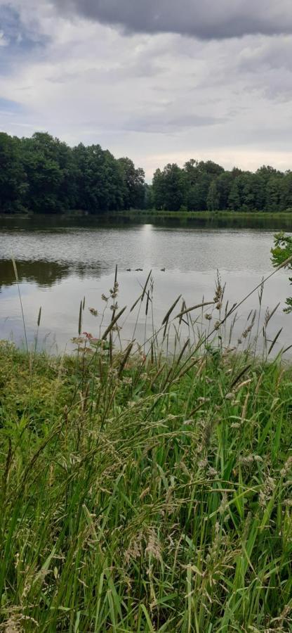 Agroturystyka Aura Kostrzyca Zewnętrze zdjęcie