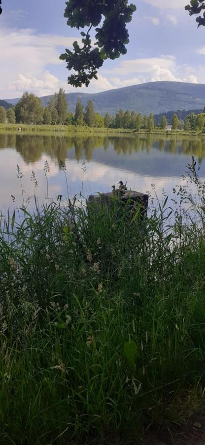 Agroturystyka Aura Kostrzyca Zewnętrze zdjęcie