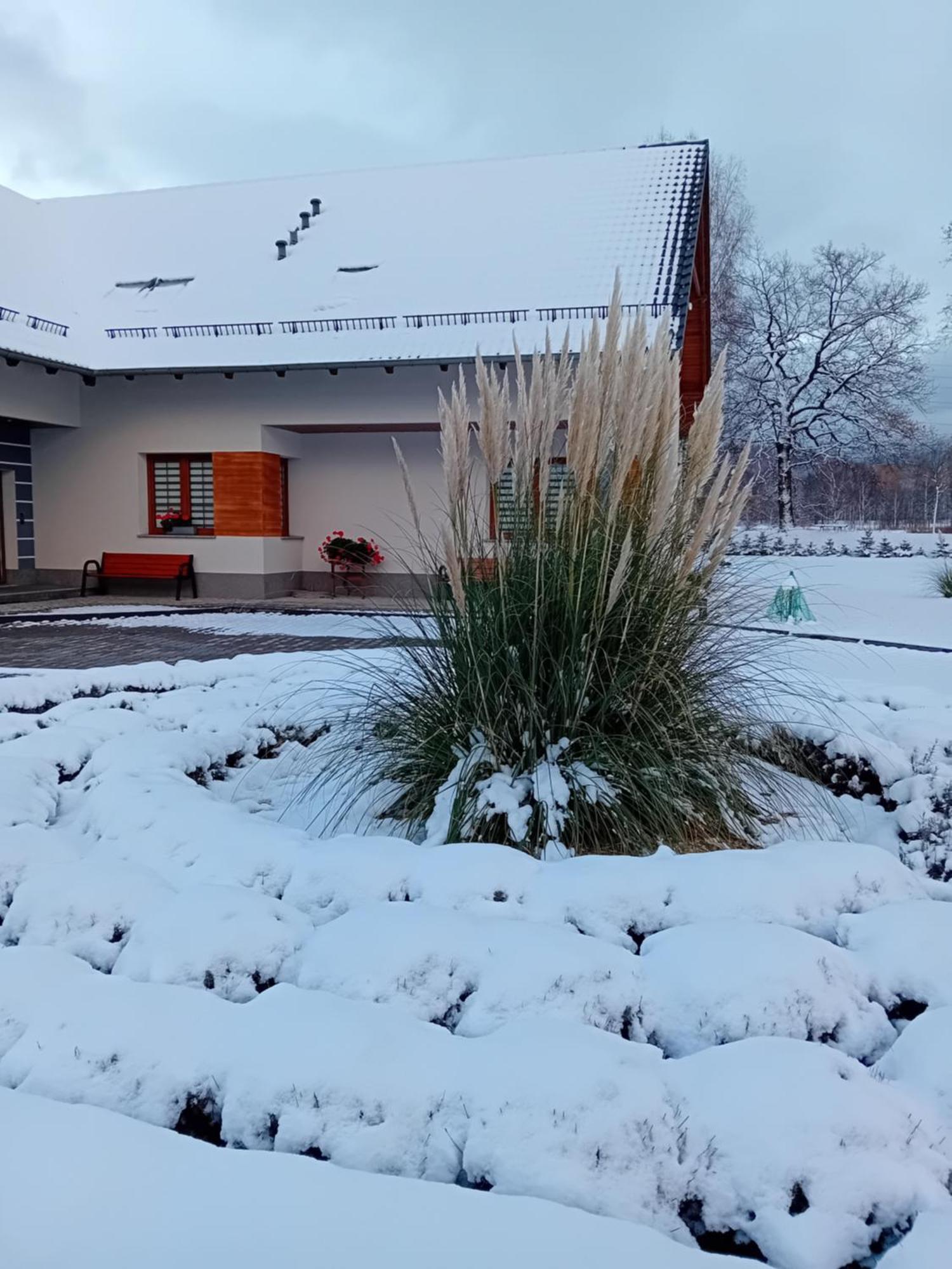 Agroturystyka Aura Kostrzyca Zewnętrze zdjęcie